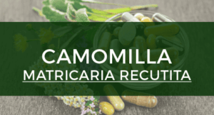 CAMOMILLA