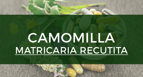 CAMOMILLA
